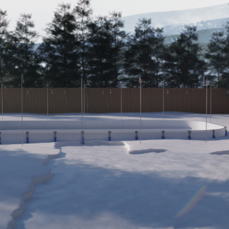 Patinoire - My first rink Agora Pro.